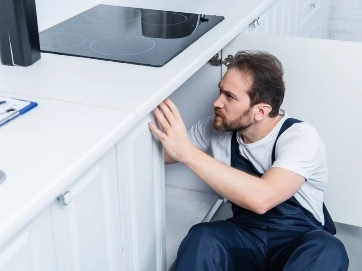 Professional Garbage Disposal Services services by SnoFalls Plumbing LLC in Maple Valley, WA — licensed Plumbing provider